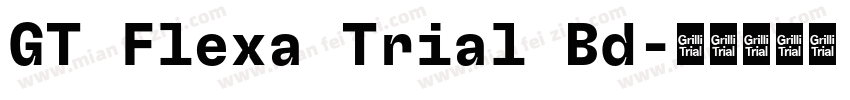 GT Flexa Trial Bd字体转换